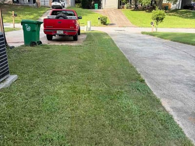 Lawn Care service in Lakeside, 92040