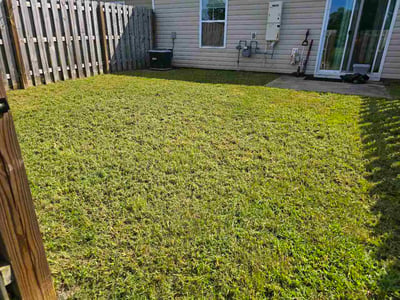 Lawn Care service in Aiken, 29801