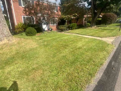 Lawn Care service in Dunbar, 15431