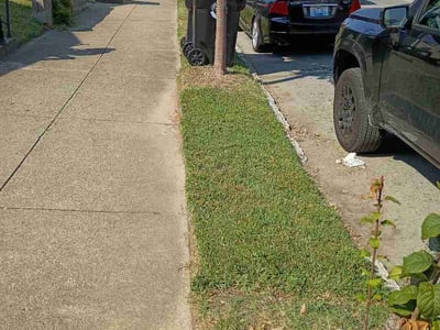 Lawn Care service in Nicholasville, 40356