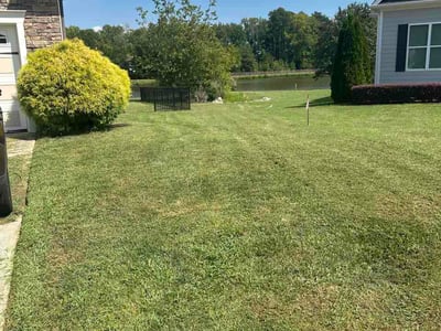 Lawn Care service in Zebulon, 27597