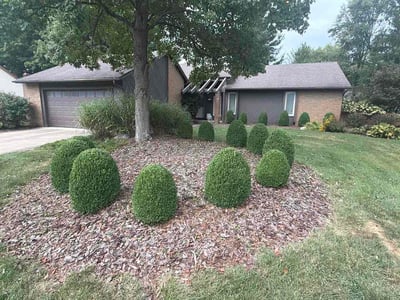 Lawn Care service in Milpitas, 95035