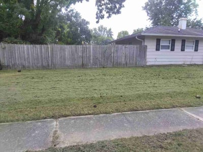 Lawn Care service in Broad Ripple, 46220
