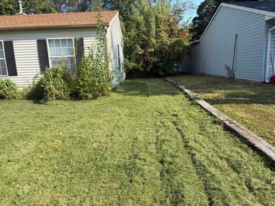 Lawn Care service in Broad Ripple, 46220