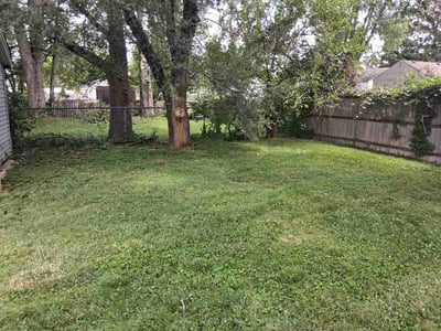 Lawn Care service in Mckeesport, 15132