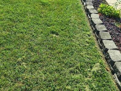 Lawn Care service in Middletown, 40243