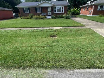 Lawn Care service in Corydon, 42406