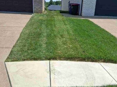 Lawn Care service in Corydon, 42406