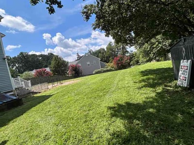 Lawn Care service in Temple Hills, 20748