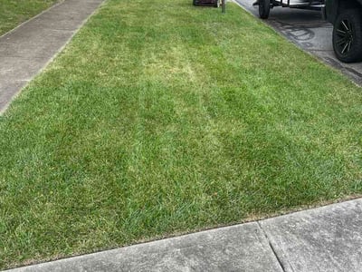 Lawn Care service in Norwood, 45212
