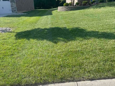 Lawn Care service in Norwood, 45212