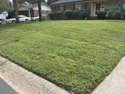 Lawn Care service in Rock Hill, 29730