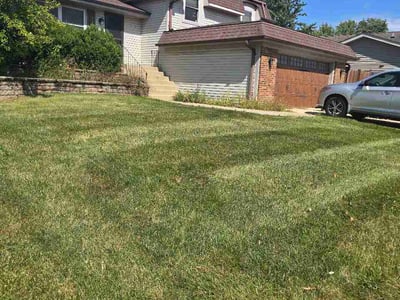 Lawn Care service in West Chicago, 60185