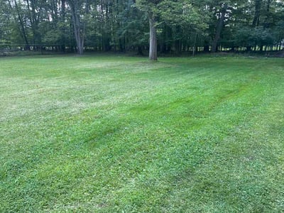 Lawn Care service in Cherry Hill, 16401
