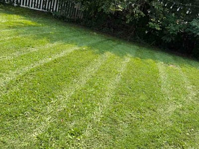 Lawn Care service in Irwin, 15642