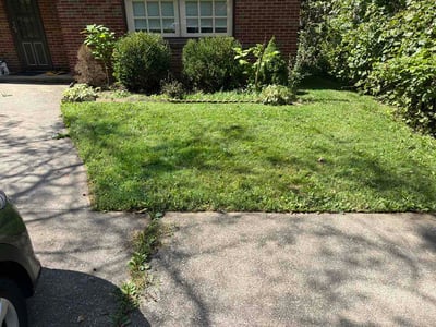 Lawn Care service in Aurora, 44202
