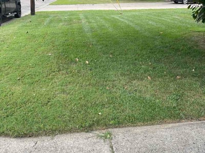 Lawn Care service in Fairfield, 45014