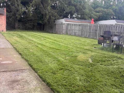 Lawn Care service in Maple Heights, 44137