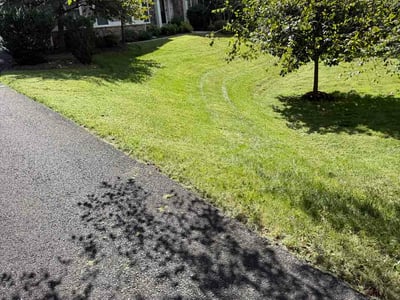 Lawn Care service in Gainesville, 20155