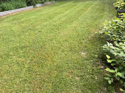 Lawn Care service in Ford City, 16226