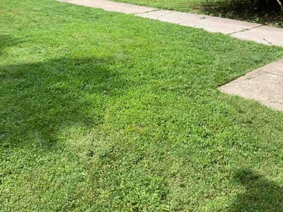 Lawn Care service in Gibsonia, 15044