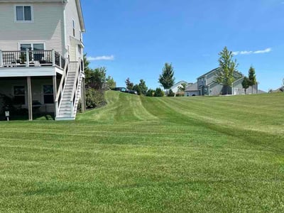 Lawn Care service in Grafton, 53024