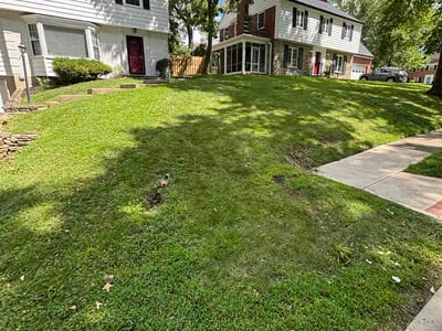 Lawn Care service in Batavia, 45103