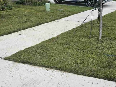 Lawn Care service in Redwood City, 94063