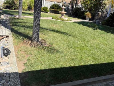Lawn Care service in Sunnyvale, 94087