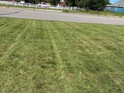 Lawn Care service in Havertown, 19083