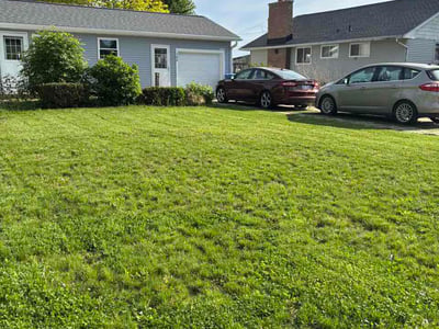 Lawn Care service in Middleton, 53562