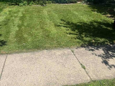 Lawn Care service in Ann Arbor, 48104