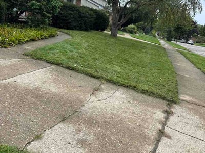 Lawn Care service in Ann Arbor, 48104