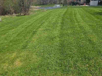 Lawn Care service in Shorewood, 53211