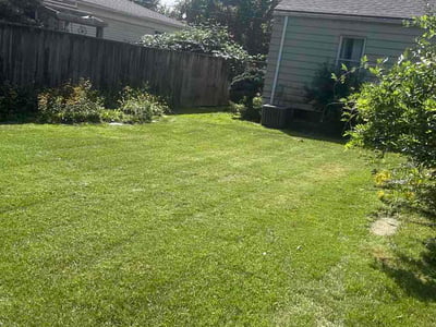 Lawn Care service in Royal Oak, 48067