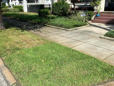 Lawn Care service in Carson, 90745