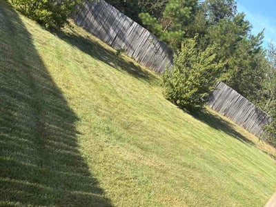 Lawn Care service in North Augusta, 29841
