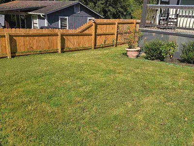 Lawn Care service in Carson, 90745