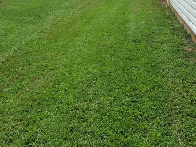 Lawn Care service in Carson, 90745