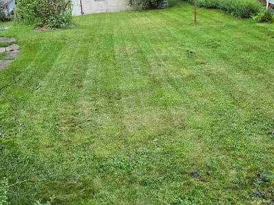 Lawn Care service in Beaver Falls, 15010