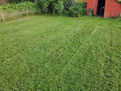 Lawn Care service in Dyer, 46311