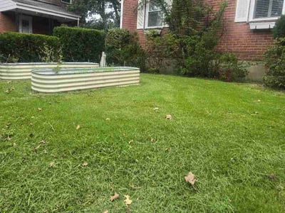 Lawn Care service in Great Falls, 22066