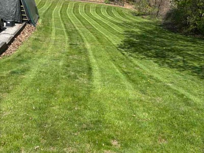 Lawn Care service in Auburn, 01501