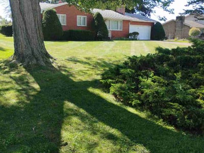 Lawn Care service in Canton, 44702