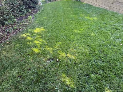 Lawn Care service in Great Falls, 22066