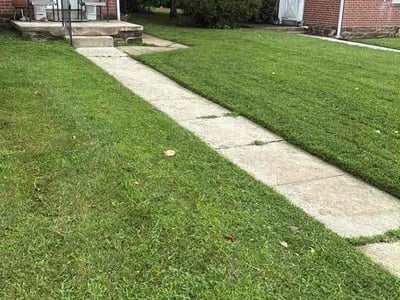 Lawn Care service in Norristown, 19401