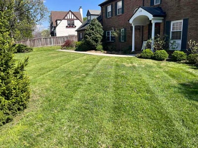 Lawn Care service in Hyde Park, 45208