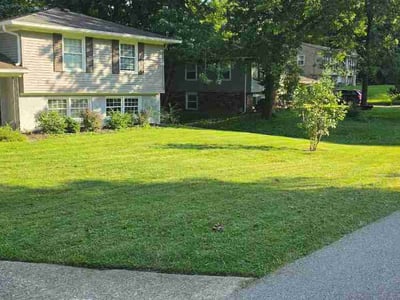 Lawn Care service in Great Falls, 22066
