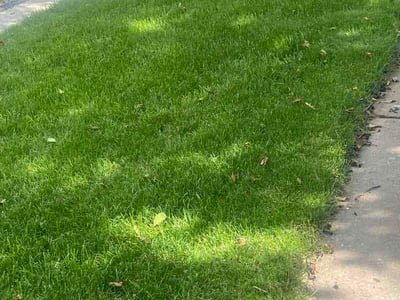 Lawn Care service in Oregon, 53575
