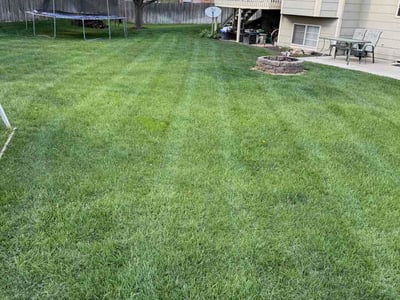Lawn Care service in Andover, 67002